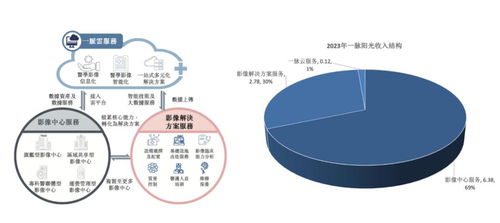 稀缺標的港股上市 醫學影像第一股邁入高增長，互聯網數據服務助力新篇章